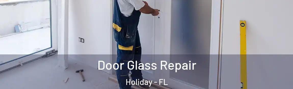  Door Glass Repair Holiday - FL