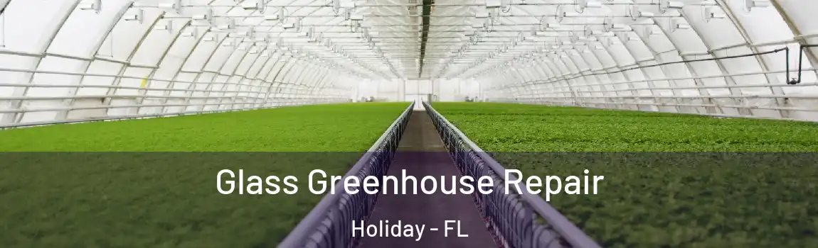  Glass Greenhouse Repair Holiday - FL