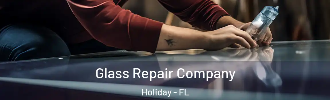  Glass Repair Company Holiday - FL