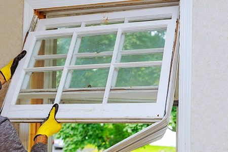 Window Replacement in Holiday, FL