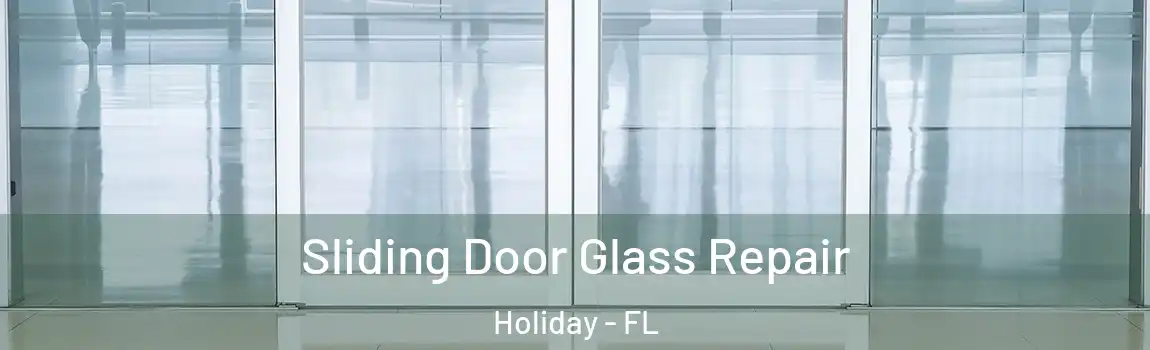  Sliding Door Glass Repair Holiday - FL
